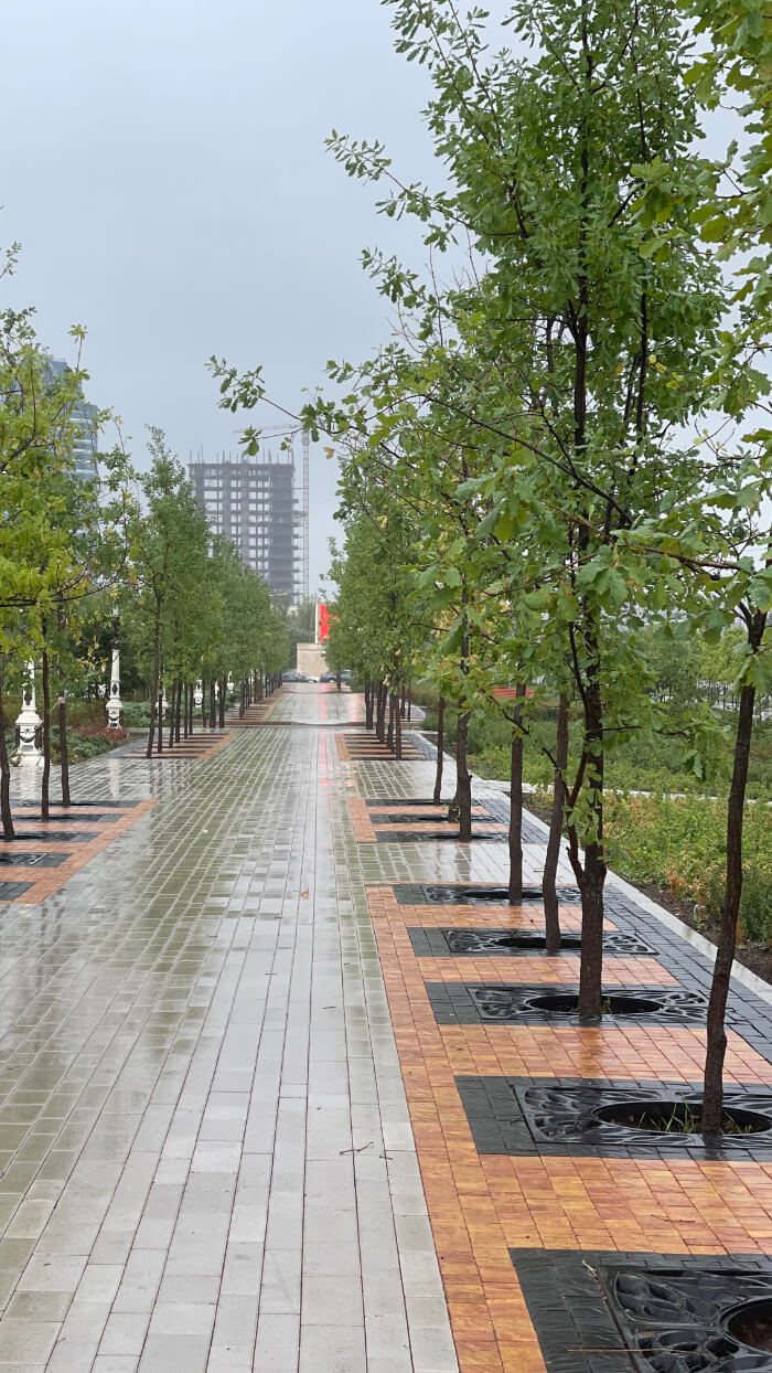 Приствольная решетка для дерева ZKING CRUST 1.2х1.2м Черная в Чебоксарах фото