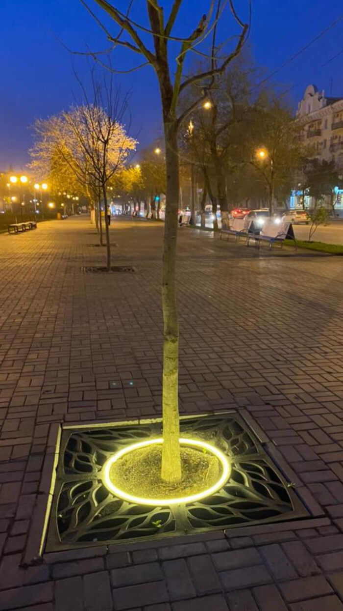 Приствольная решетка для дерева ZKING CRUST 1.2х1.2м Черная в Чебоксарах фото